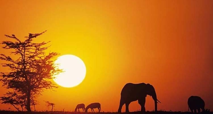 Kenya & Tanzania Adventure - Exodus Adventure Travels 7