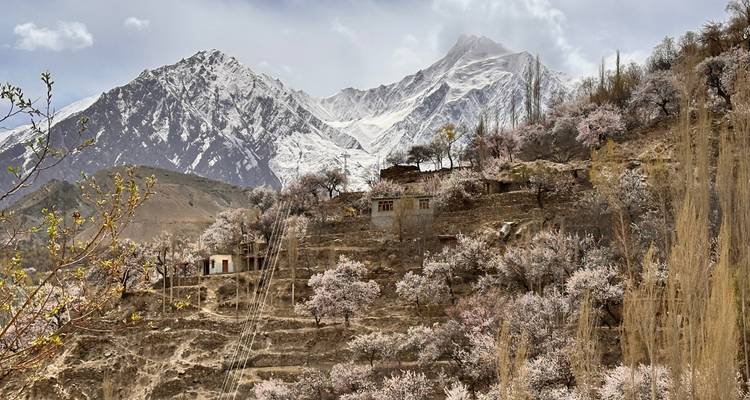 Pueblo en laderas escalonadas salpicado de flores primaverales bajo montañas nevadas que se elevan majestuosamente