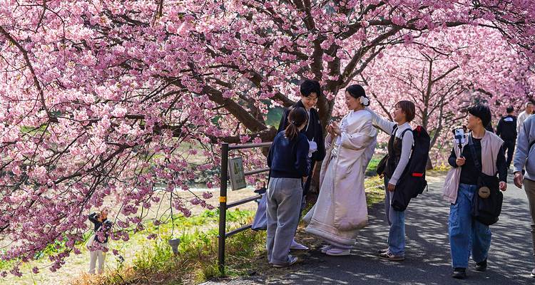 Groupe profitant des fleurs de cerisier portant des vêtements traditionnels japonais.