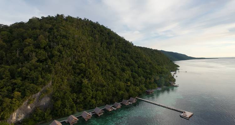 Île couverte de forêt avec bungalows sur pilotis et mer cristalline.