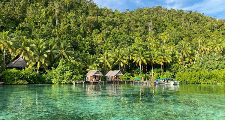 Littoral tropical avec une forêt luxuriante et des eaux turquoise.