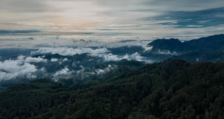 Vista panorámica de paisaje forestal montañoso con nubes.