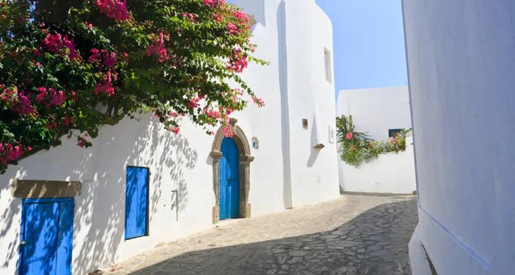 Bâtiments blancs avec des portes bleues et une rue pavée.