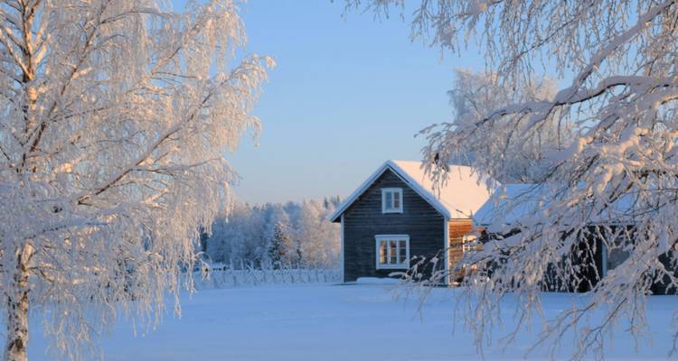 Kleines Haus umgeben von Schnee und frostigen Bäumen.
