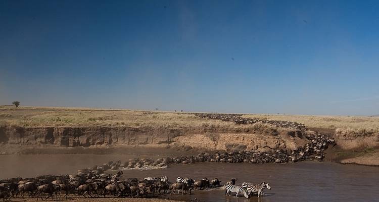 Kenya Photographic Safari with Paul Goldstein - Premium Adventure - Exodus Adventure Travels 10