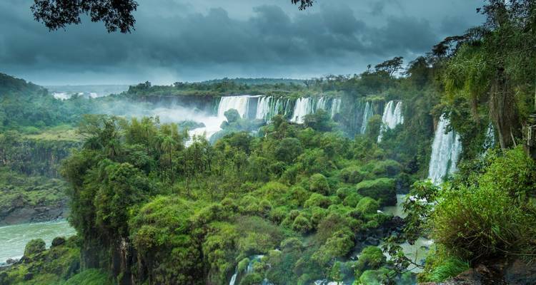 Paysage verdoyant luxuriant avec des cascades aux chutes d'Iguazu.