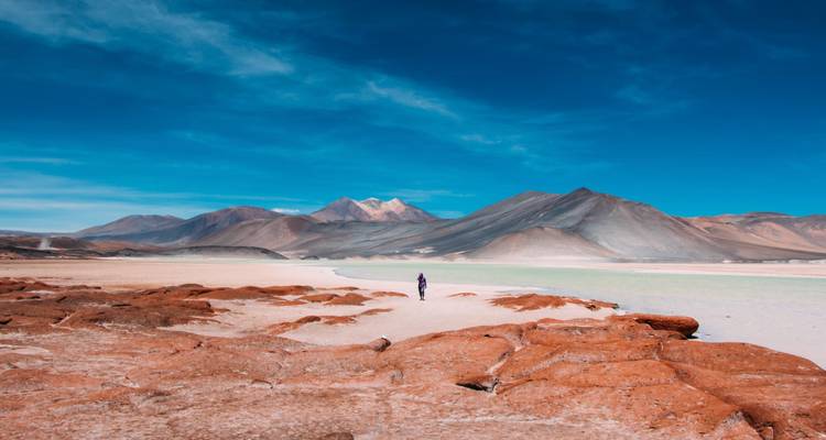 Uitgestrekt woestijnlandschap met een eenzame figuur.