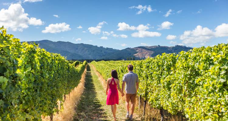 Un couple se promenant dans un vignoble avec des montagnes en arrière-plan.