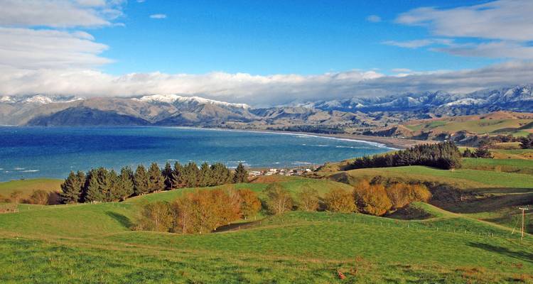 Collines verdoyantes avec une vue côtière et des montagnes enneigées en arrière-plan.
