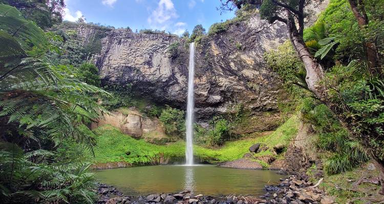 Hoge waterval die in een waterpoel valt, omgeven door bos.
