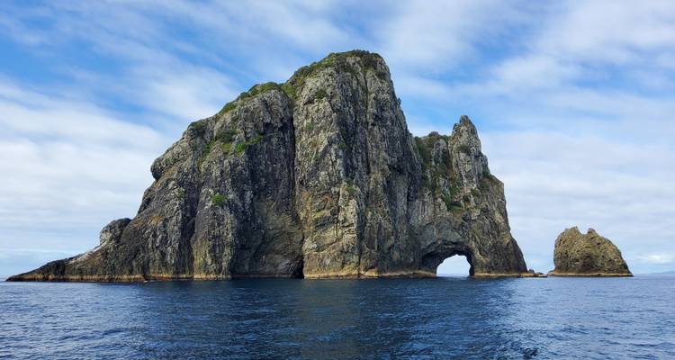 Grote zeerots formatie met een boog.