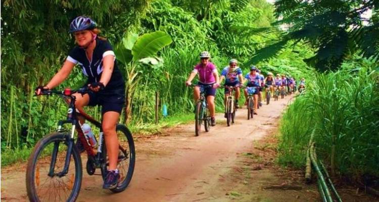 Groupe de cyclistes roulant sur un sentier à travers une végétation luxuriante.