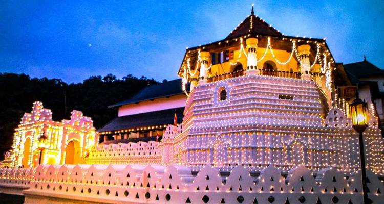 Temple bouddhiste magnifiquement illuminé la nuit.
