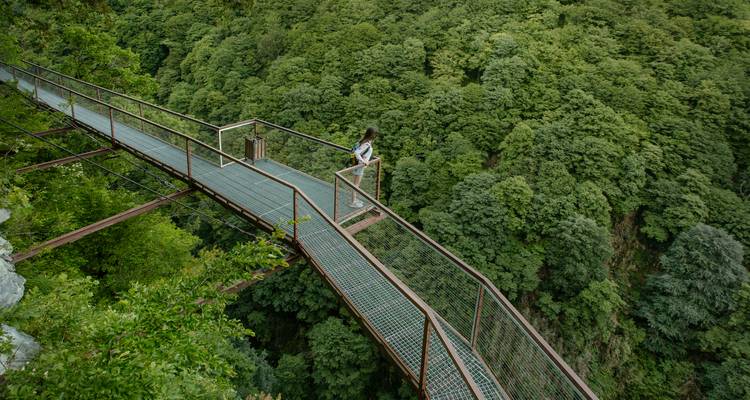 Une personne marchant sur un pont élevé au-dessus d'une forêt luxuriante.