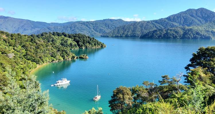Schilderachtig uitzicht op een baai met boten en weelderige beboste heuvels.