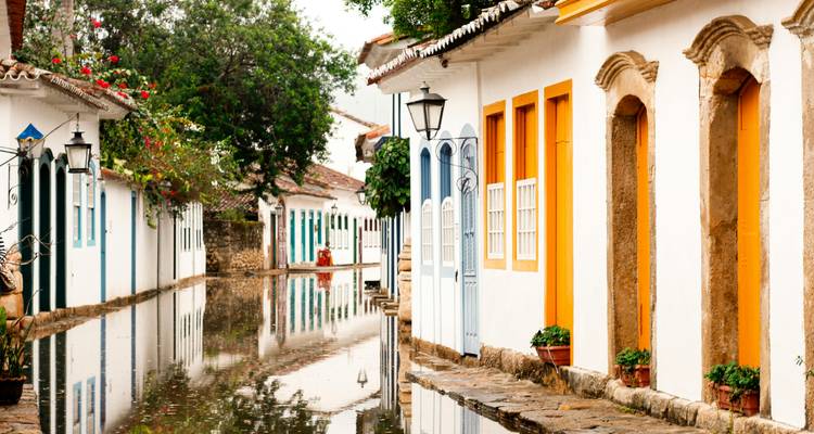 Casas coloniales coloridas reflejadas en una calle empedrada llena de agua tranquila y bordeada de plantas.