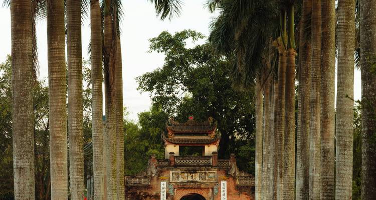 Altas palmeras enmarcan la antigua puerta de ladrillo de un complejo de templos vietnamitas.
