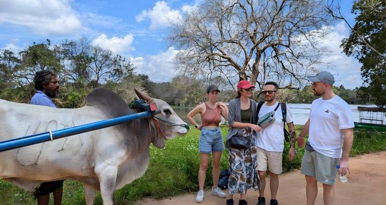 Groep mensen met een traditionele ossenkar.