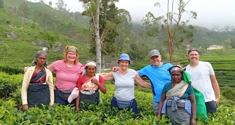 Bezoekers op een theeplantage met de lokale bevolking.