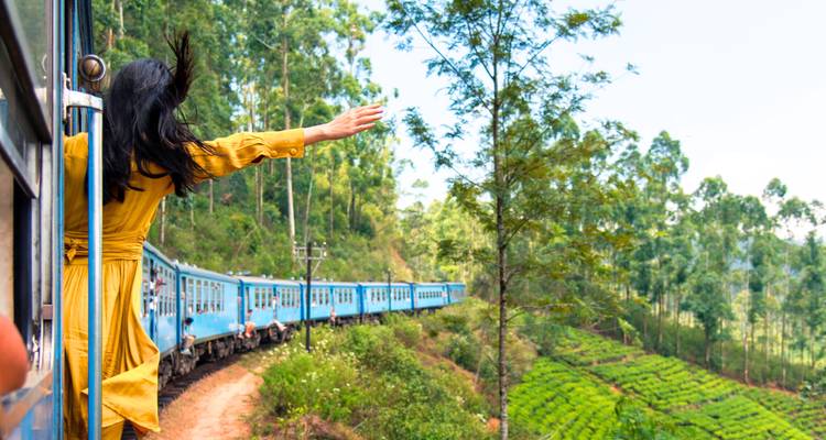 Persoon die uit een trein leunt met een schilderachtig uitzicht.