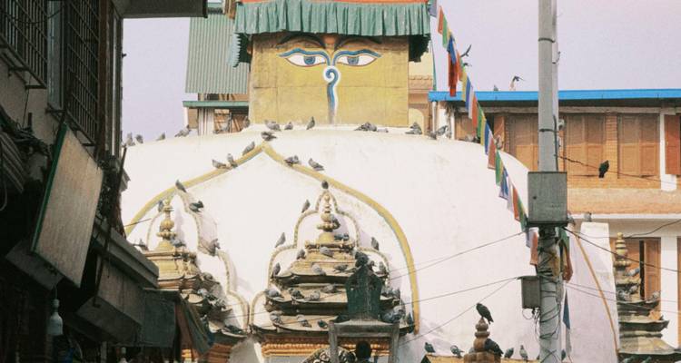 Stupa met geschilderde ogen en talrijke duiven.