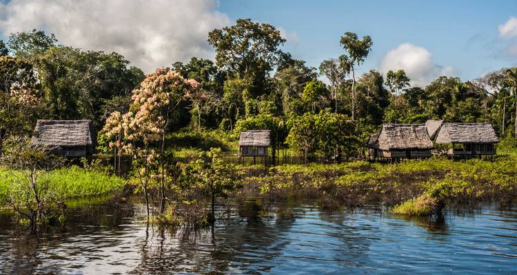 Huttes sur pilotis au bord d'une rivière dans un paysage forestier.