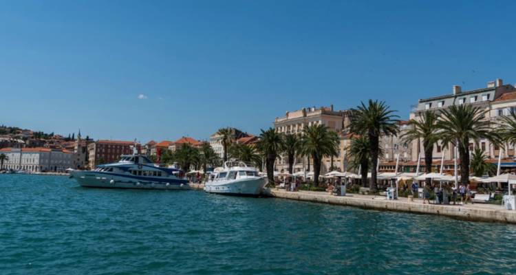 Haven met jachten en palmbomen langs de promenade.