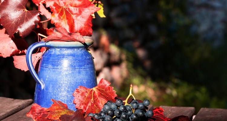 Close-up van blauw aardewerk met druiven en rode bladeren.