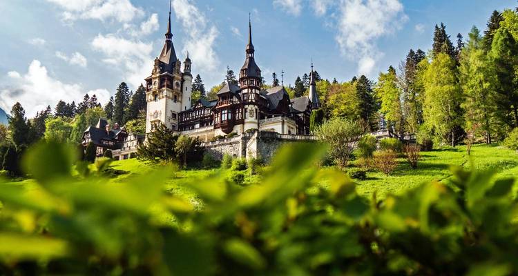 Chateau-style castle amidst lush green forest.