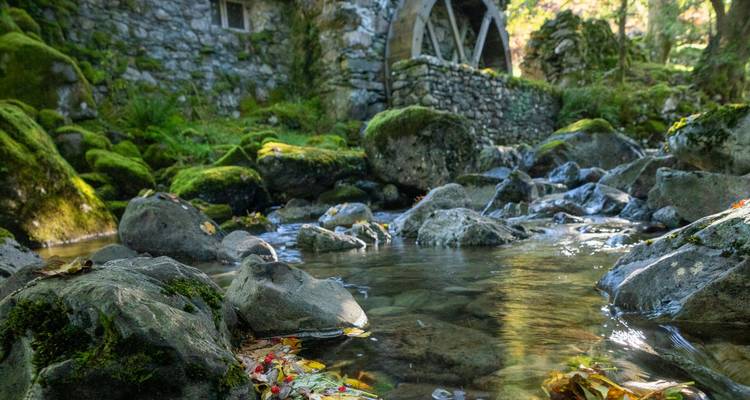Close-up of a stream with moss-covered rocks and a stone building in the background.