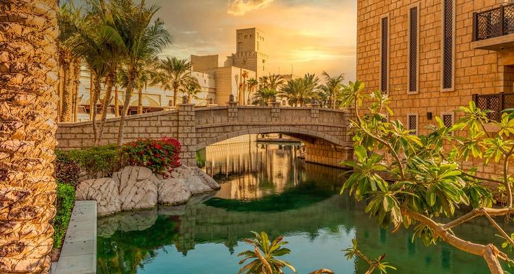 Pittoresk kanaal met een brug en palmbomen.