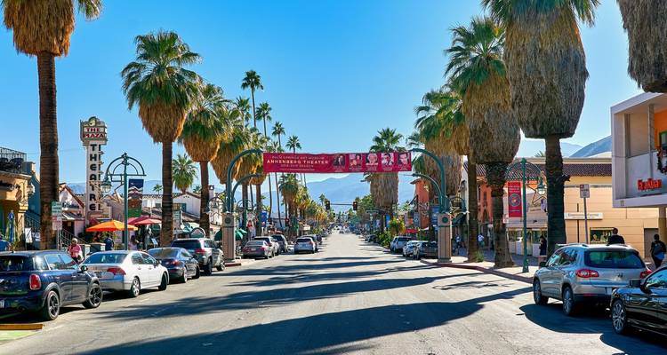 Una escena soleada de calle en Palm Springs con palmeras bordeando el camino.