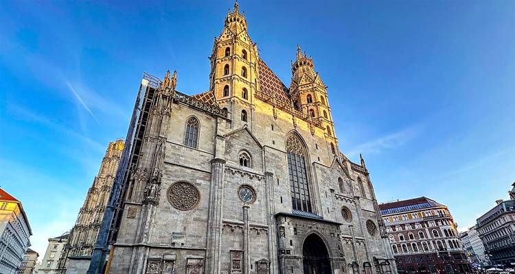 La cathédrale Saint-Étienne rayonnant chaleureusement sous la lumière du soleil.
