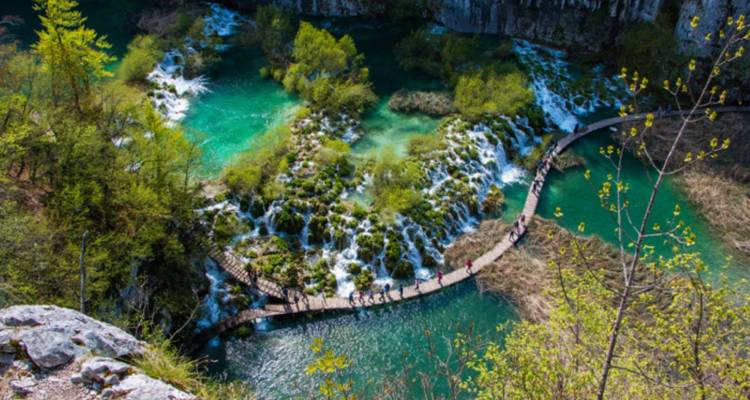 Vue aérienne de cascades et de sentiers en bois dans une végétation luxuriante.