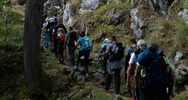 Groupe de randonneurs traversant un terrain boisé.