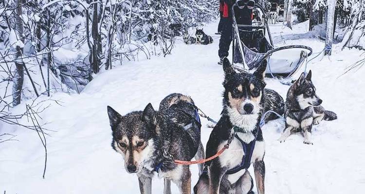 Semaine finlandaise de la nature sauvage - Exodus Adventure Travels 1