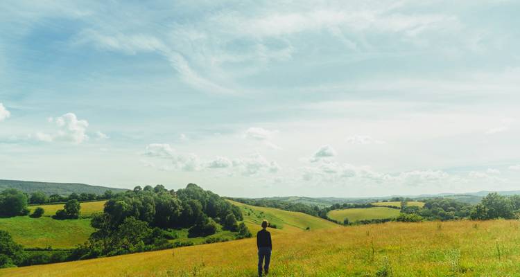Homme debout dans un vaste champ avec des collines ondulantes sous un ciel bleu.