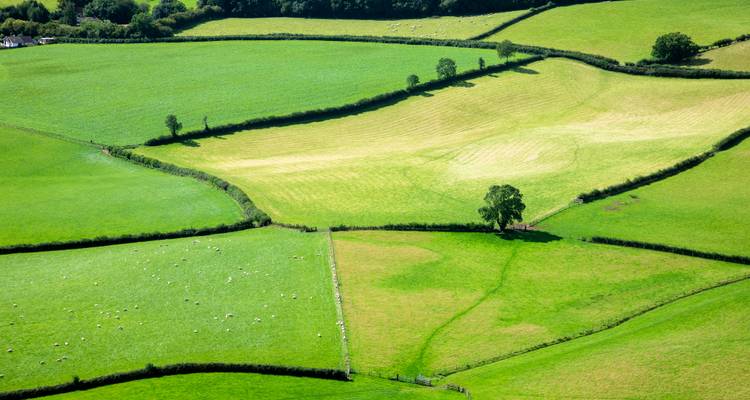 Vue aérienne de terres agricoles d'un vert éclatant avec des clôtures.