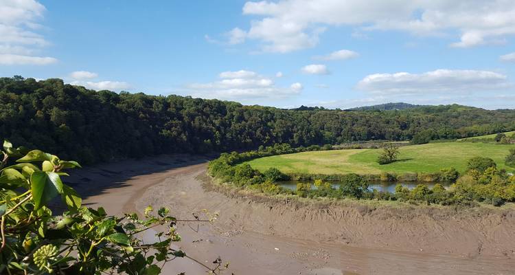 Vue d'une rivière avec des berges boueuses et des collines couvertes d'arbres.