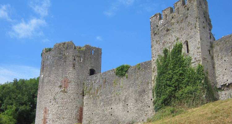 Ruines d'un château avec une végétation envahissante.