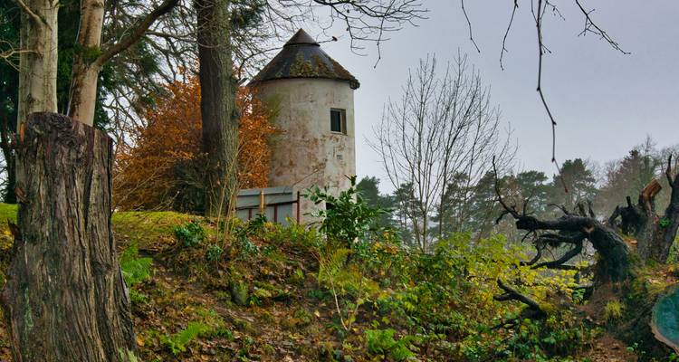 Petite tour entourée d'arbres et de feuillage.