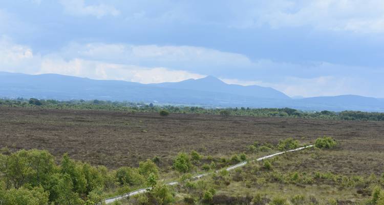 Paysage plat avec sentier vers les montagnes.