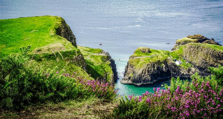 Schilderachtig kustgezicht met roze bloemen.