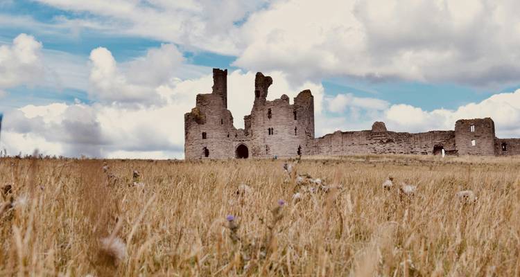 Felder mit antiken Burgruinen unter einem blauen Himmel.