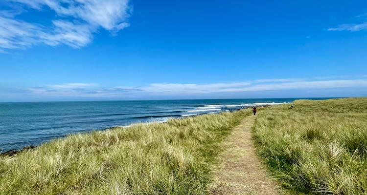 Grasiger Pfad mit Meereswellen und einem klaren blauen Himmel.