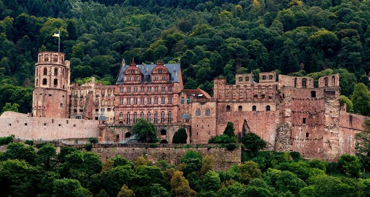 Château de Heidelberg entouré de forêt.