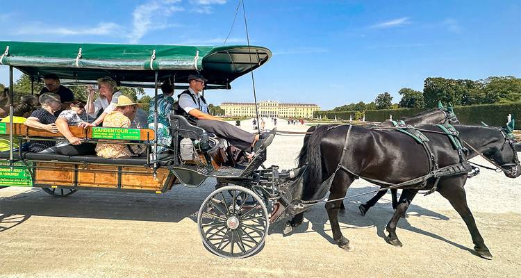 Visiteurs lors d'une excursion en calèche près d'un grand palais.