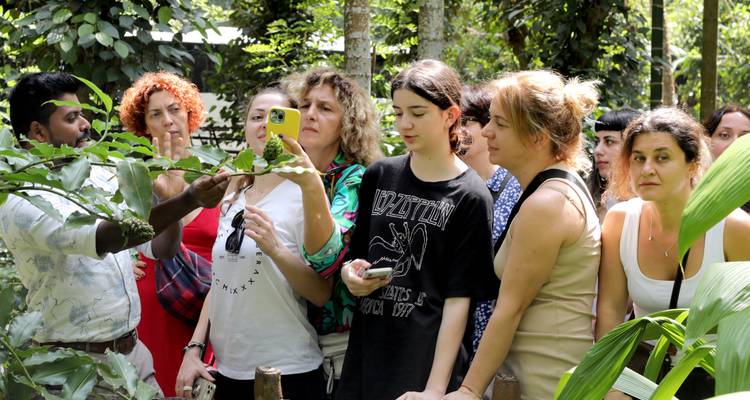 Tourgroep observeert wilde dieren in een bos.