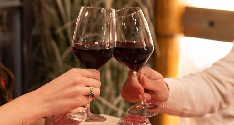 Gros plan de deux personnes qui trinquent avec des verres de vin.