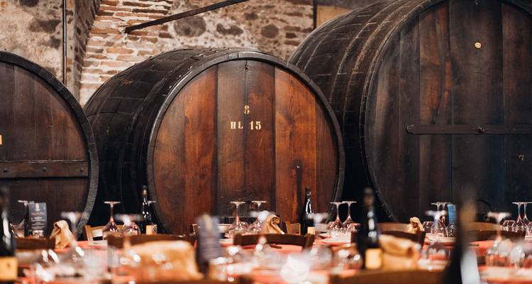 Cave à vin avec de gros tonneaux.